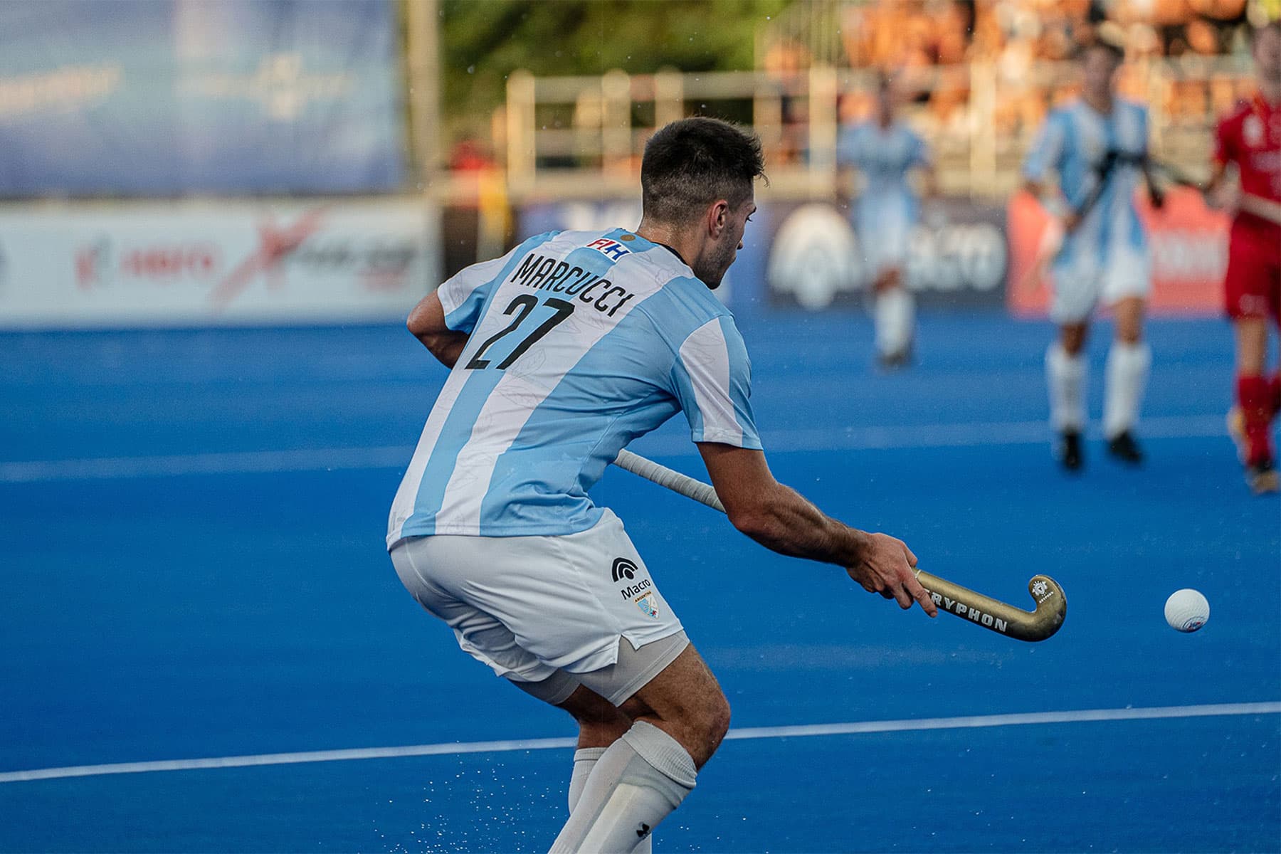 Tadeo Marcucci à l'Orée